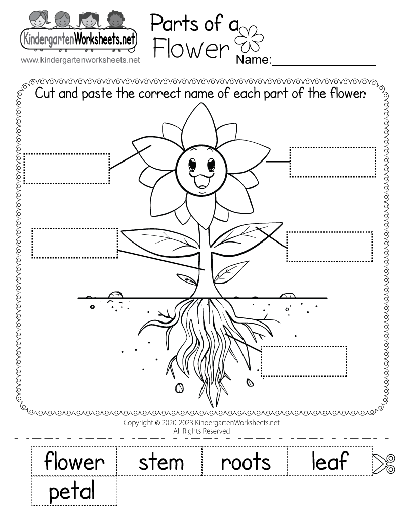 Free Printable Flowers Worksheets For Kindergarten